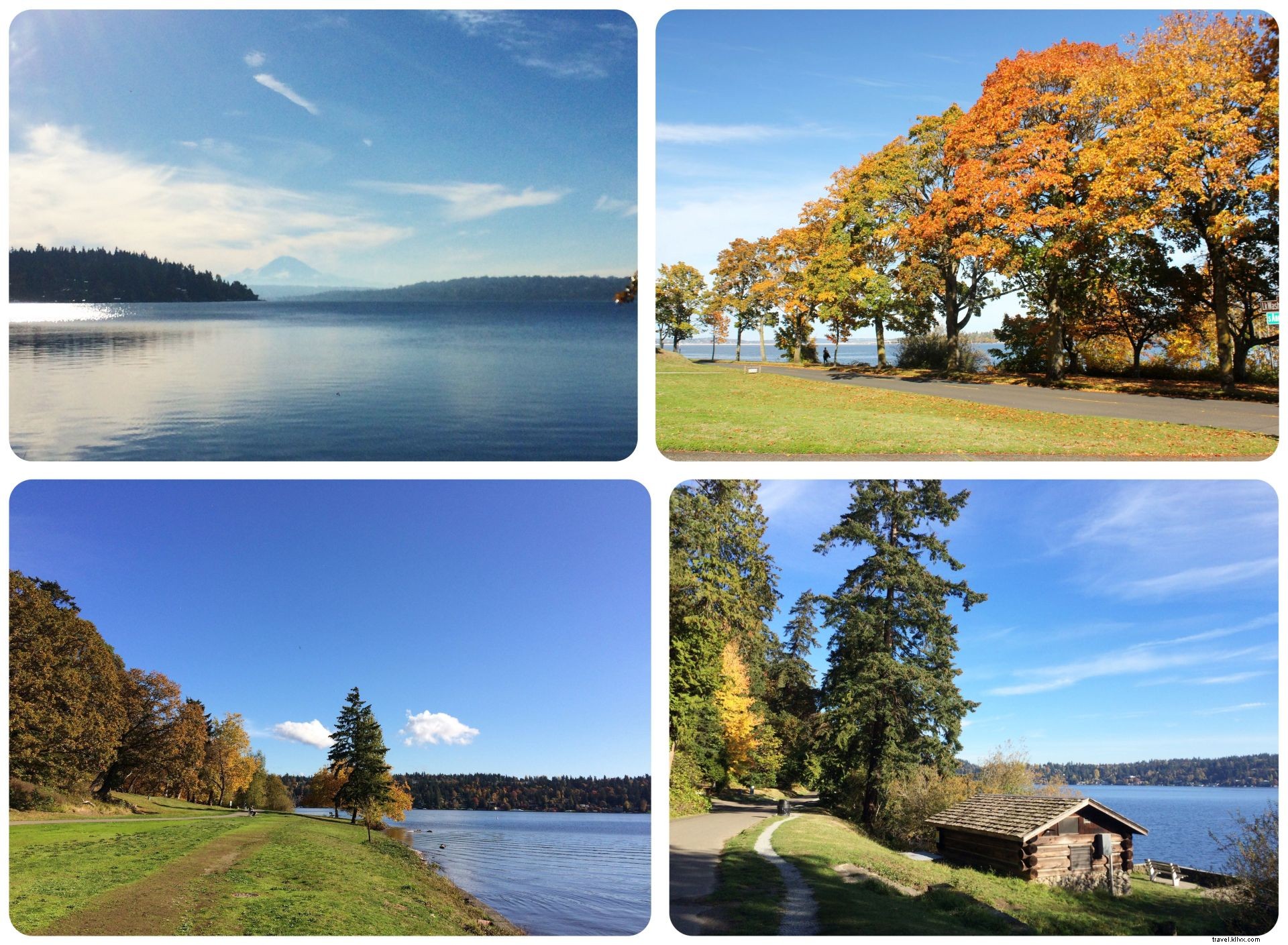 35 Must-Visit Places in Seattle: Insider Favorites from a Month-Long Exploration