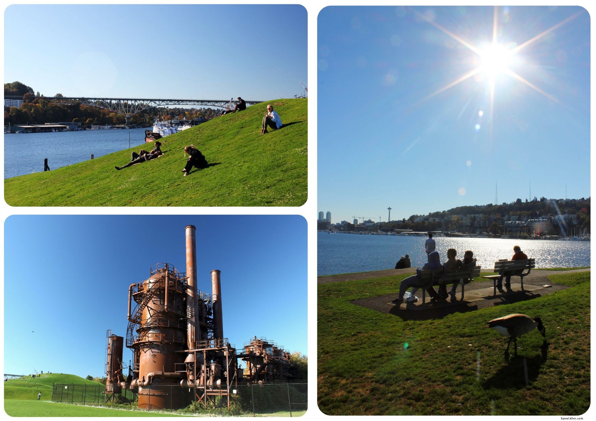 35 Must-Visit Places in Seattle: Insider Favorites from a Month-Long Exploration