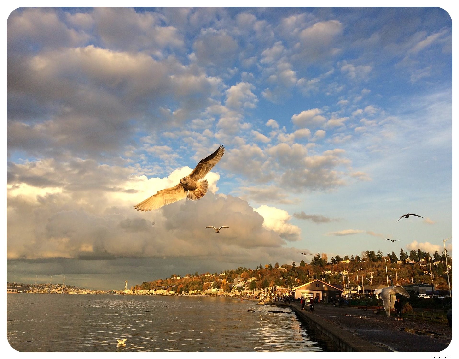 35 Must-Visit Places in Seattle: Insider Favorites from a Month-Long Exploration