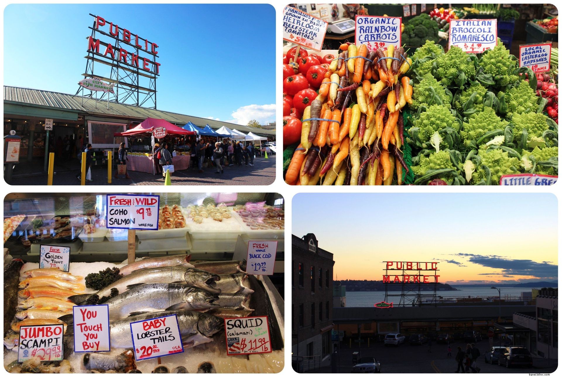 35 Must-Visit Places in Seattle: Insider Favorites from a Month-Long Exploration