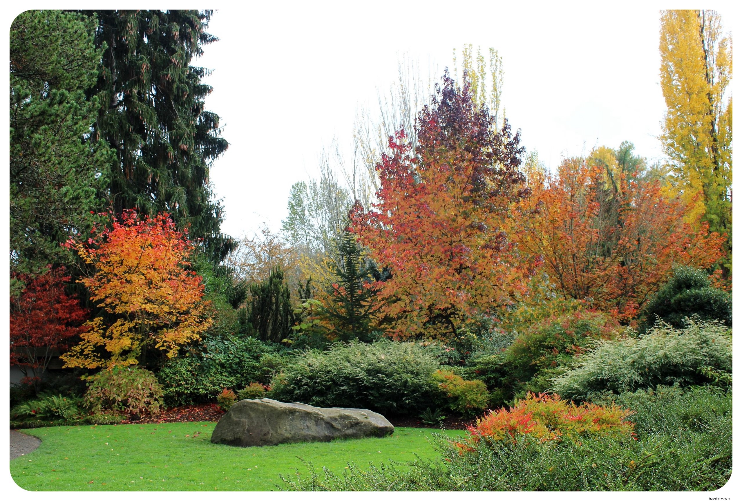 35 Must-Visit Places in Seattle: Insider Favorites from a Month-Long Exploration