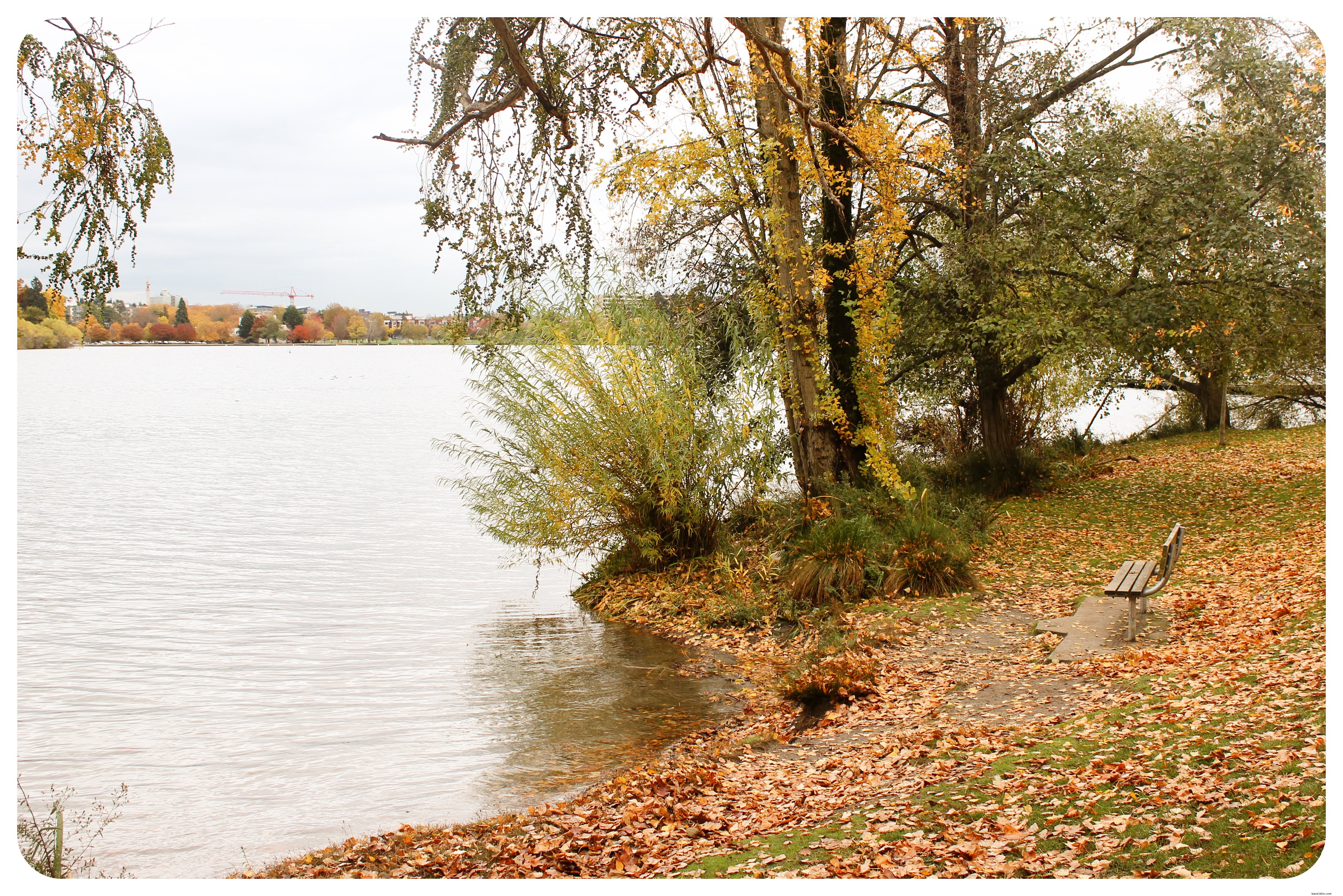 35 Must-Visit Places in Seattle: Insider Favorites from a Month-Long Exploration