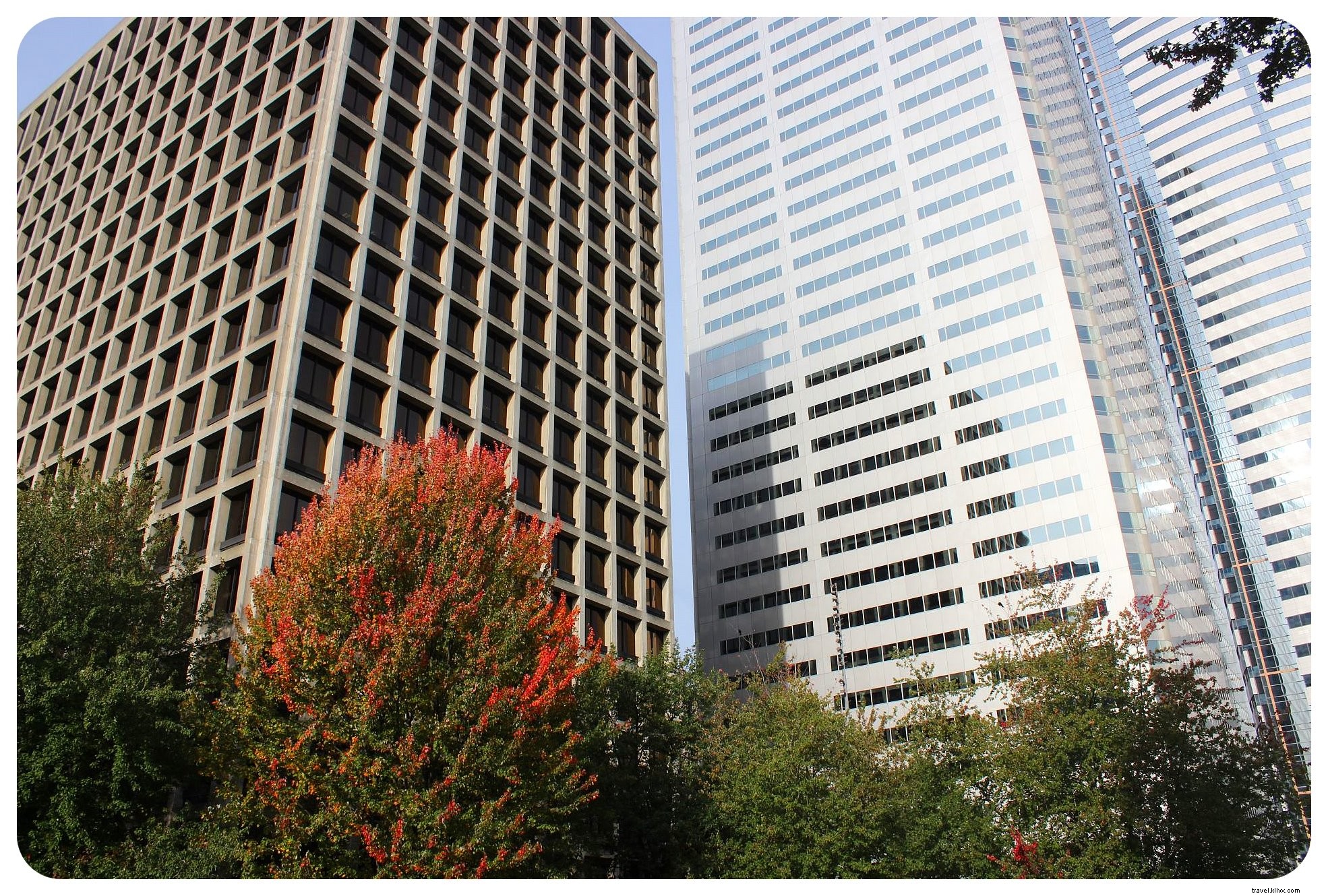 35 Must-Visit Places in Seattle: Insider Favorites from a Month-Long Exploration