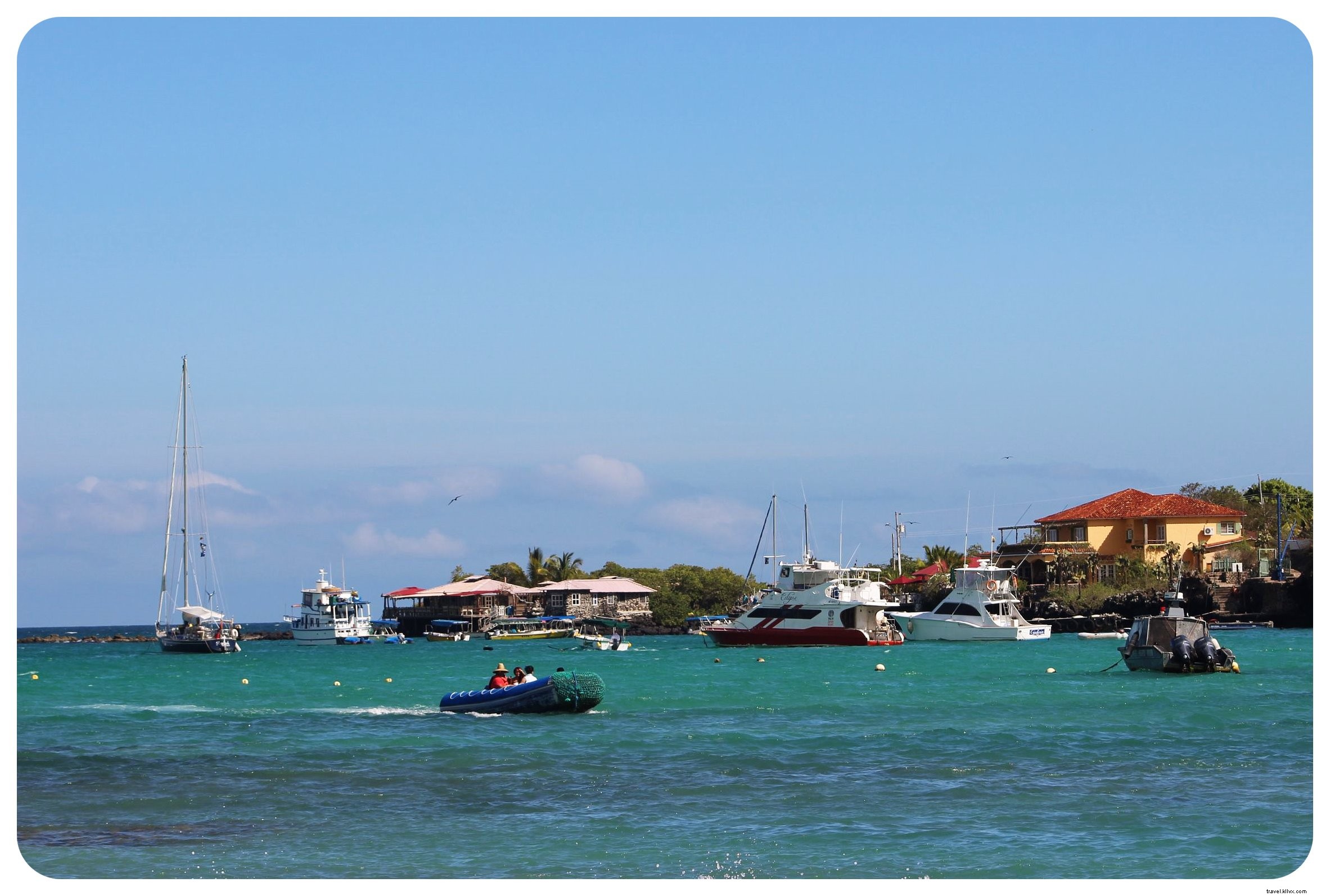 Cruising the Galapagos Islands: My Unforgettable Wildlife Adventure