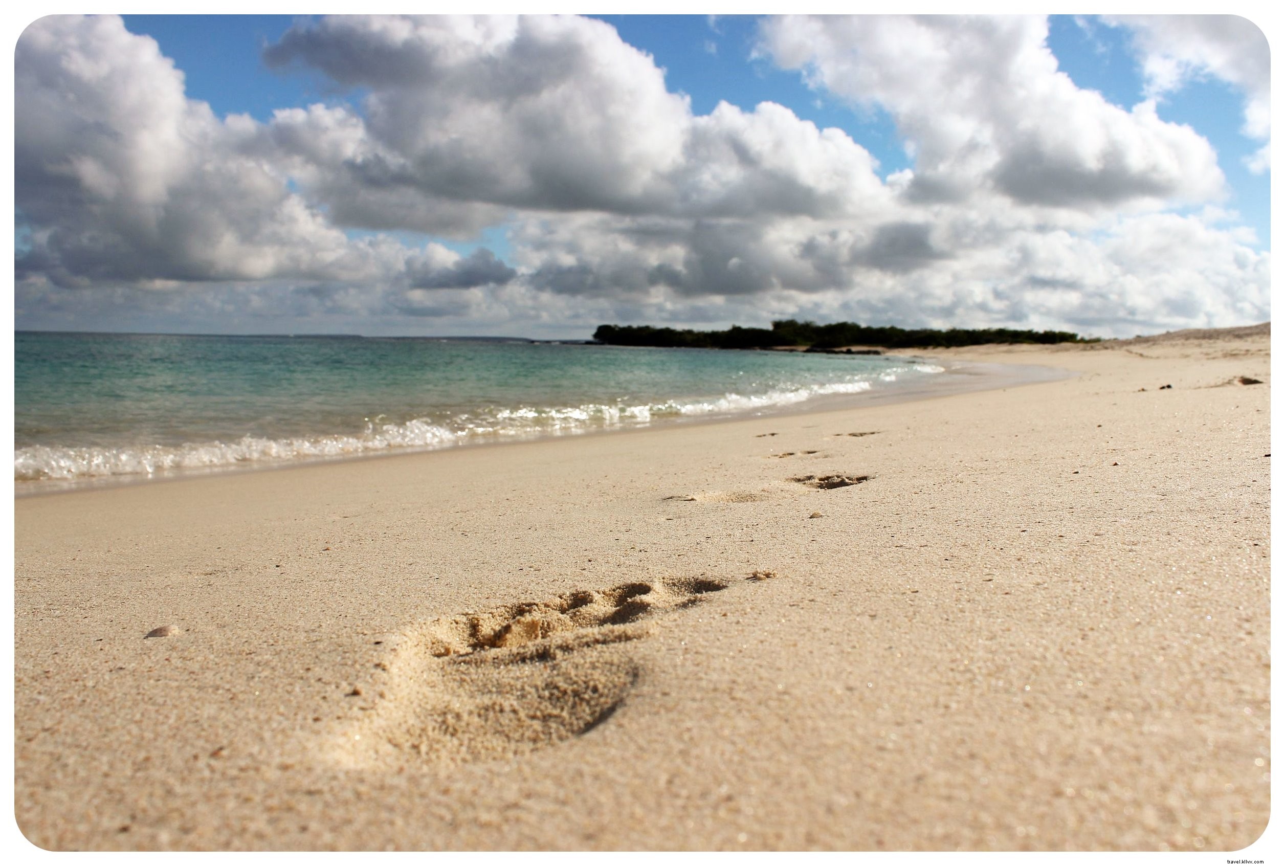 Cruising the Galapagos Islands: My Unforgettable Wildlife Adventure