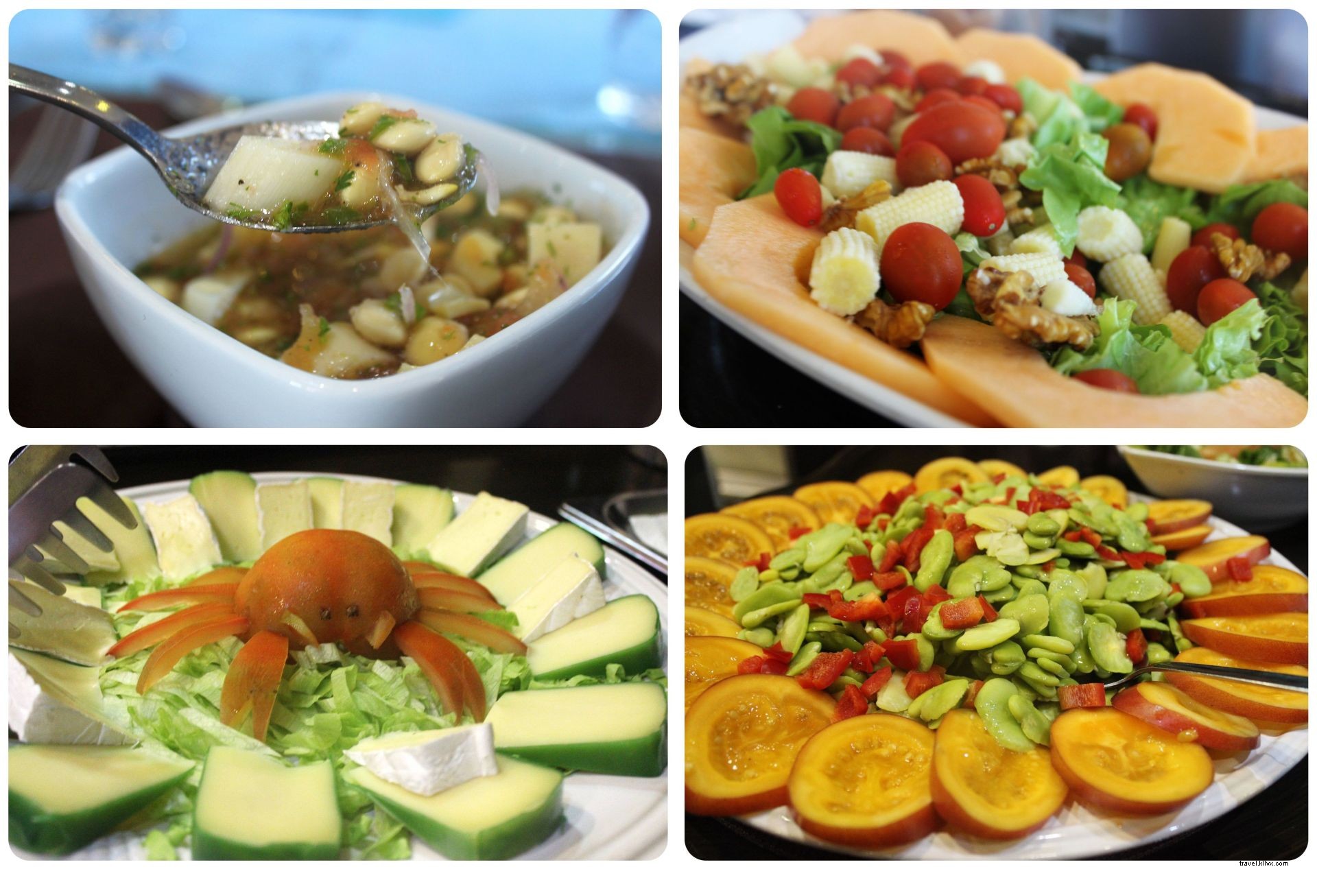 Cruising the Galapagos Islands: My Unforgettable Wildlife Adventure