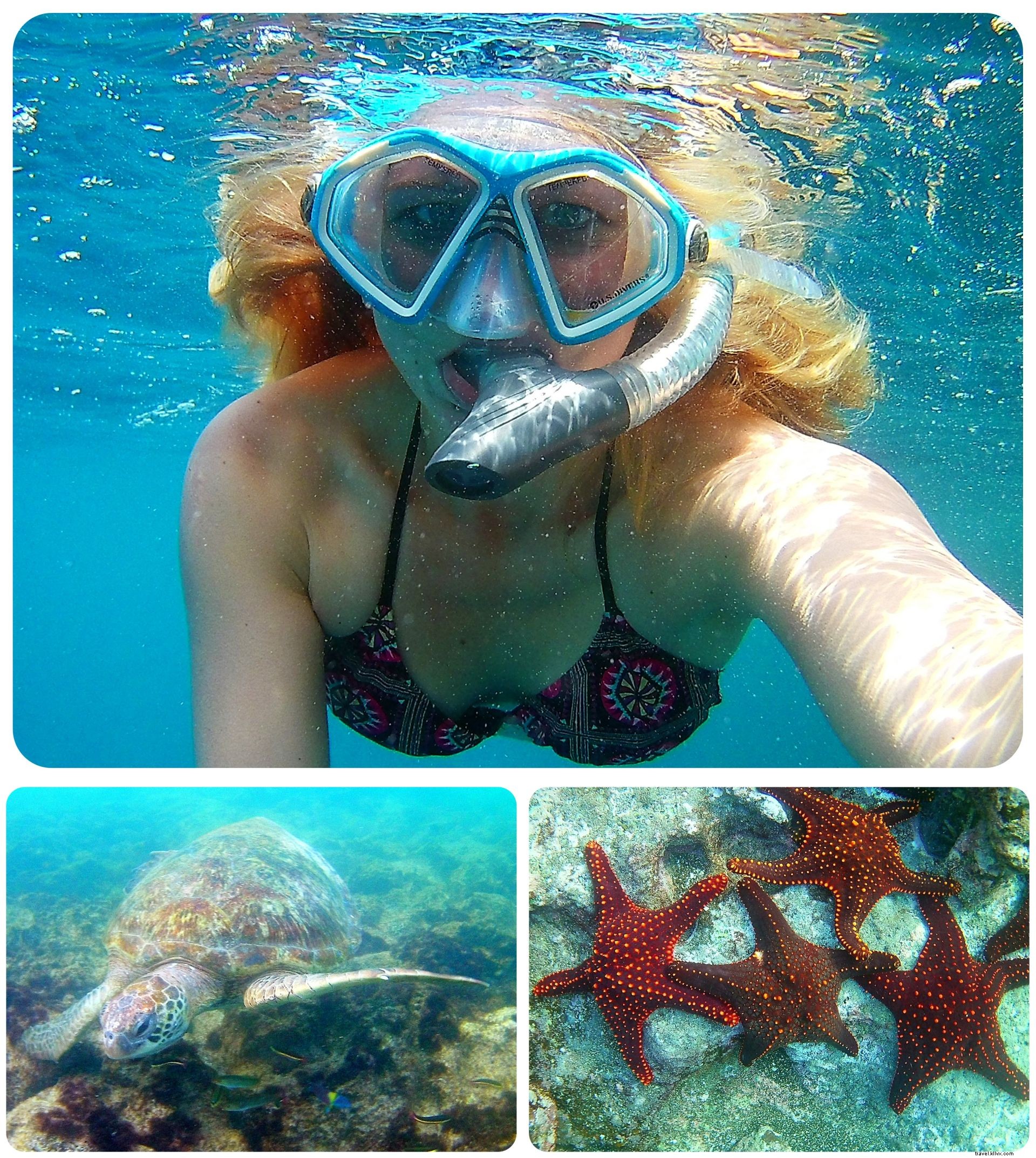 Cruising the Galapagos Islands: My Unforgettable Wildlife Adventure