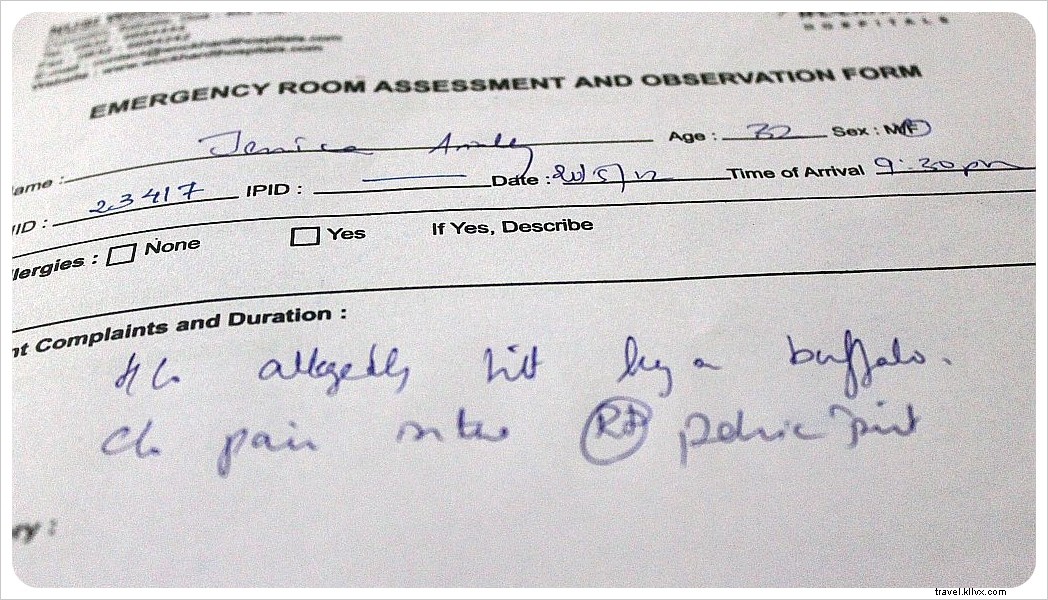 Rammed by a Cow in Goa: A Traveler s Shocking Encounter and Swift Recovery in India