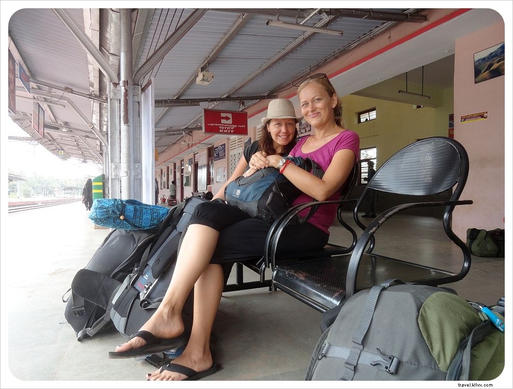 Rammed by a Cow in Goa: A Traveler s Shocking Encounter and Swift Recovery in India