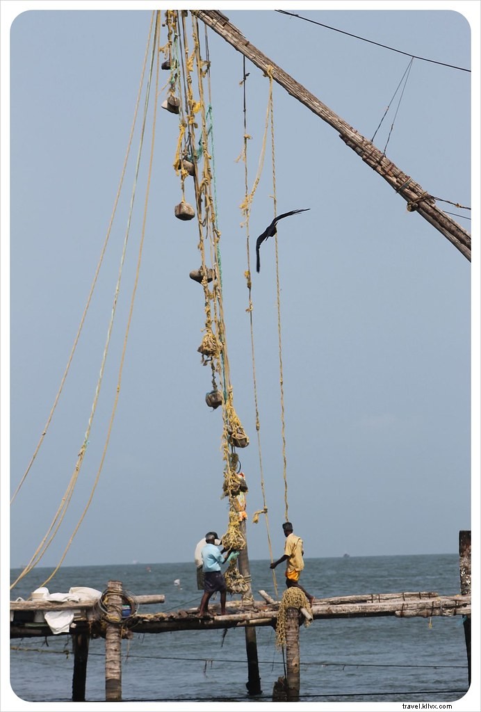 The Rigorous Daily Lives of South India s Fishermen: Chinese Nets in Kochi and Traditional Hauls in Kovalam