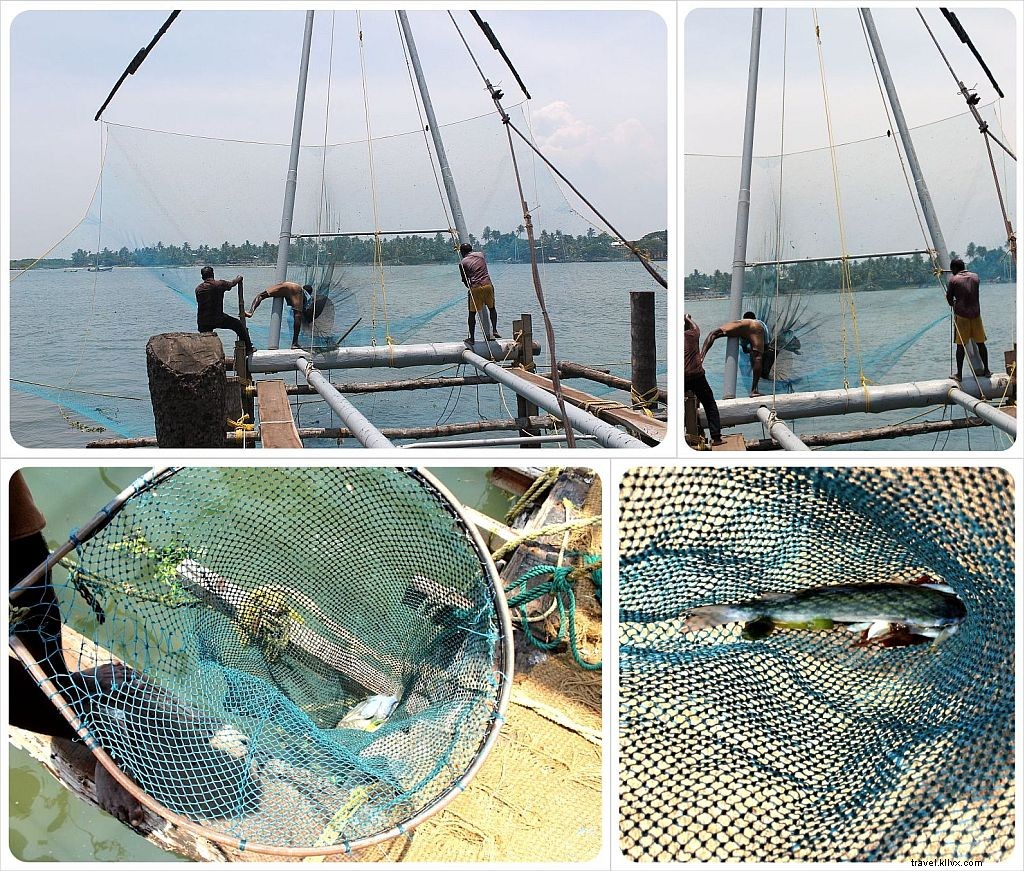 The Rigorous Daily Lives of South India s Fishermen: Chinese Nets in Kochi and Traditional Hauls in Kovalam