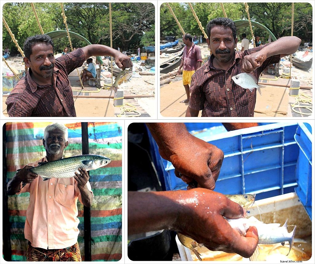 The Rigorous Daily Lives of South India s Fishermen: Chinese Nets in Kochi and Traditional Hauls in Kovalam