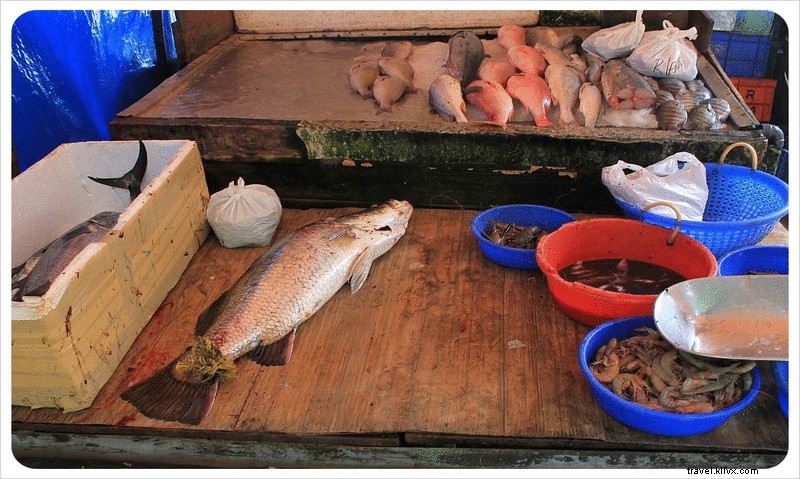 The Rigorous Daily Lives of South India s Fishermen: Chinese Nets in Kochi and Traditional Hauls in Kovalam