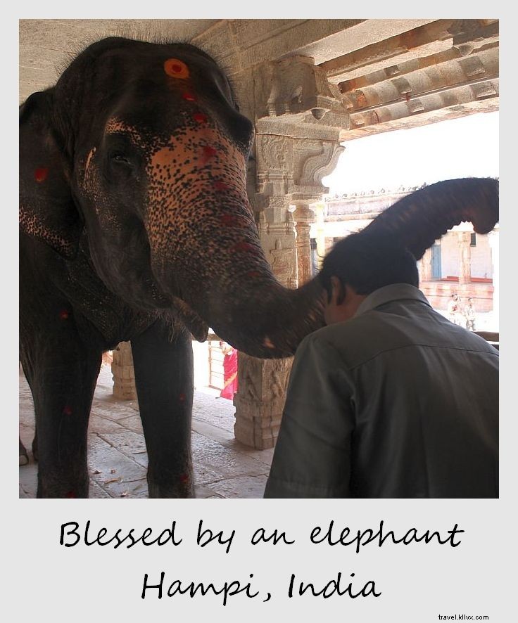 Polaroid of the Week: Blessed by Lakshmi, the Sacred Temple Elephant in Hampi, India