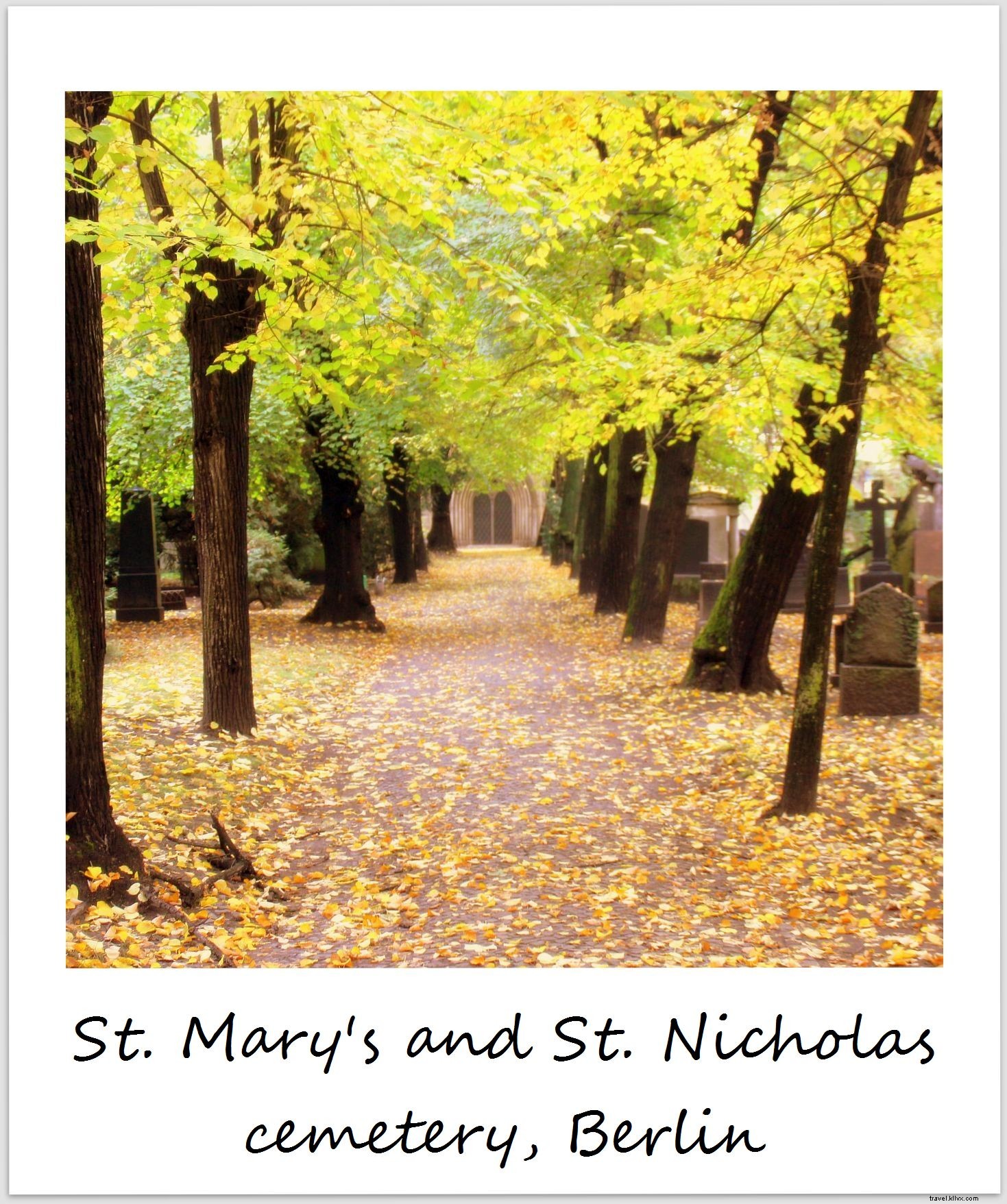 Polaroid of the Week: Crisp Autumn Vibes in Berlin s Historic Cemetery
