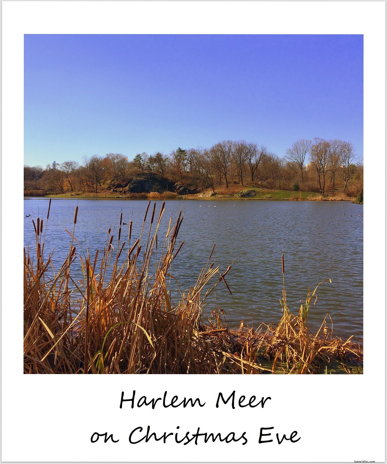 Polaroid of the Week: Serene Harlem Meer in Central Park on a Sunny December Day