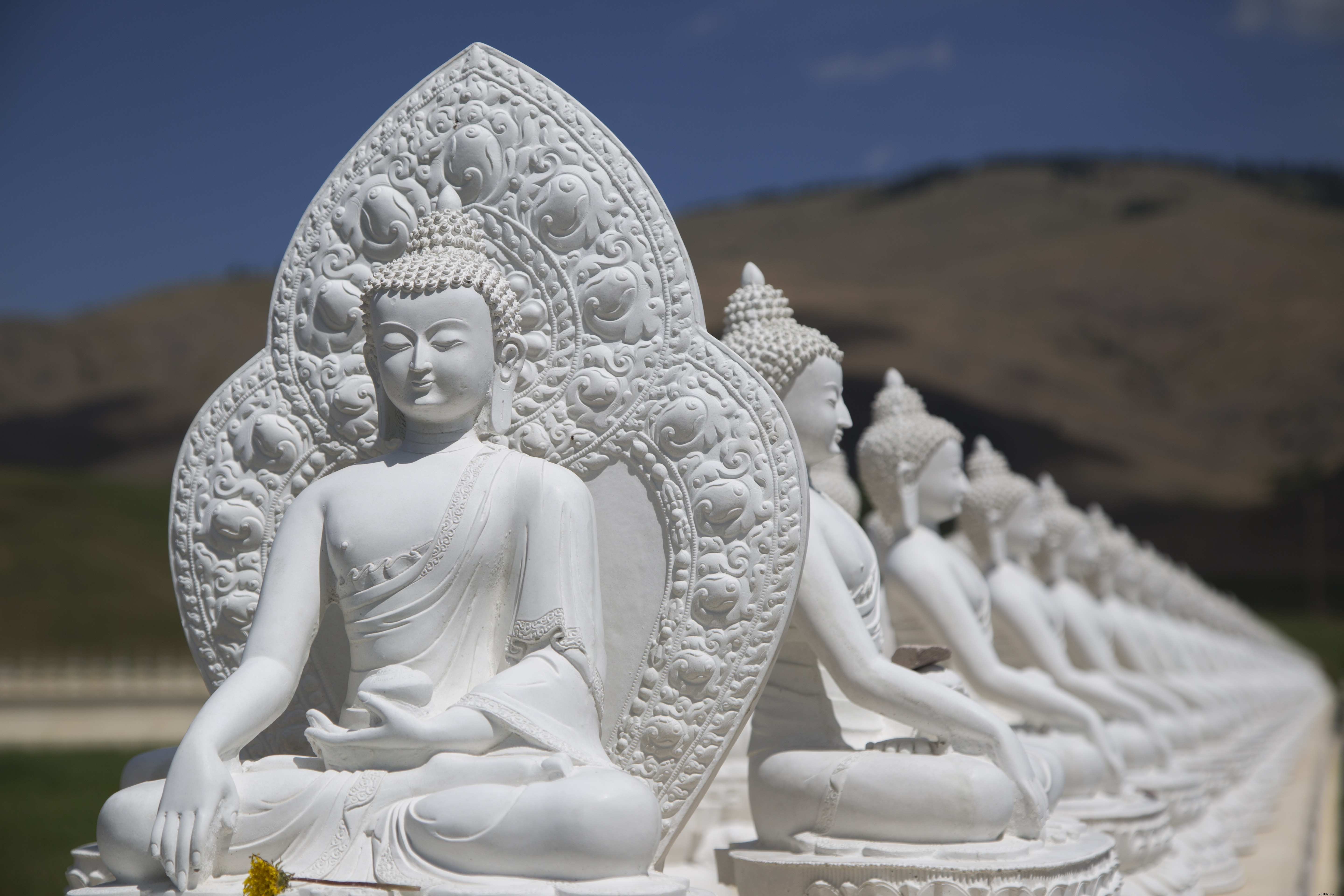 Discover Four Hidden Gems: Unusual Places to Visit in Montana