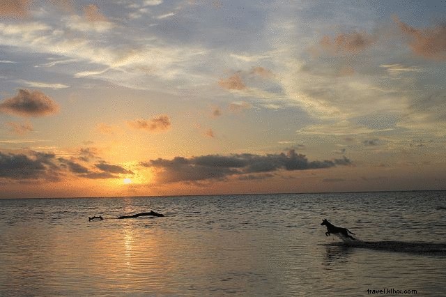 Housesitting Update: Week 3 at Our Remote Mexican Beach House