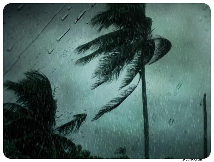 Housesitting Update: Week 3 at Our Remote Mexican Beach House