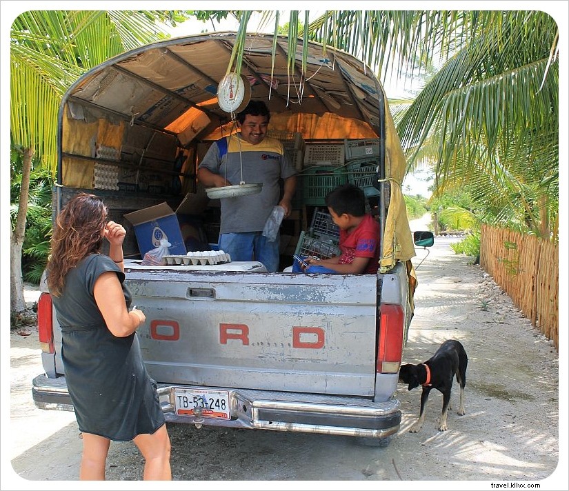 Housesitting Update: Week 3 at Our Remote Mexican Beach House