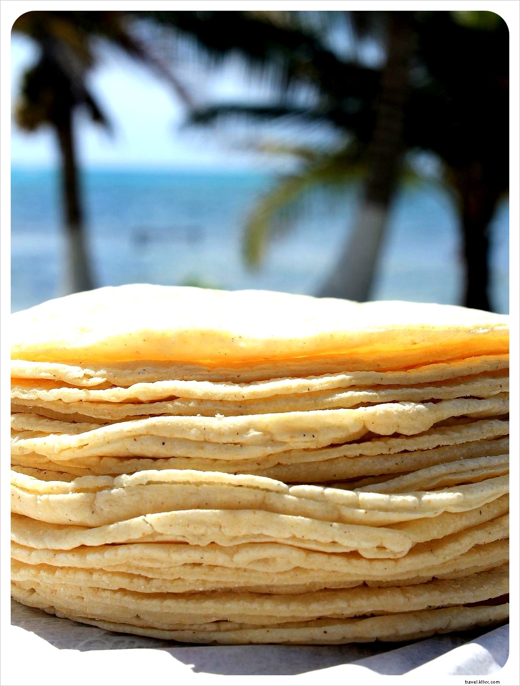 Housesitting Update: Week 3 at Our Remote Mexican Beach House