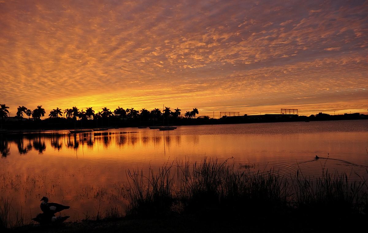 Discover Florida s Top 3 Epic Road Trips: Beaches, Nature, and the Keys