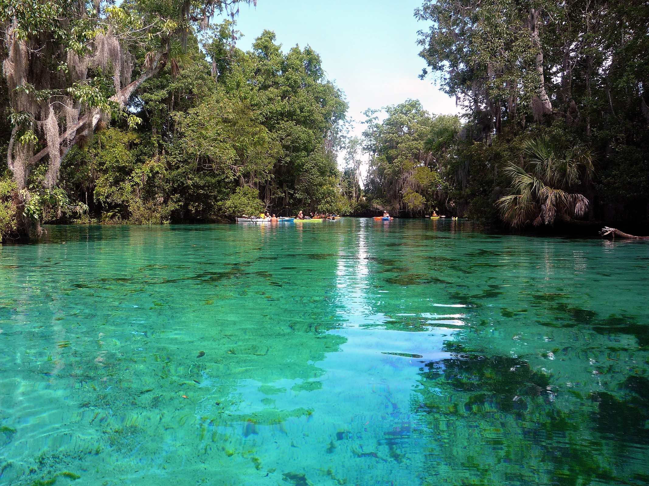 Discover Florida s Top 3 Epic Road Trips: Beaches, Nature, and the Keys