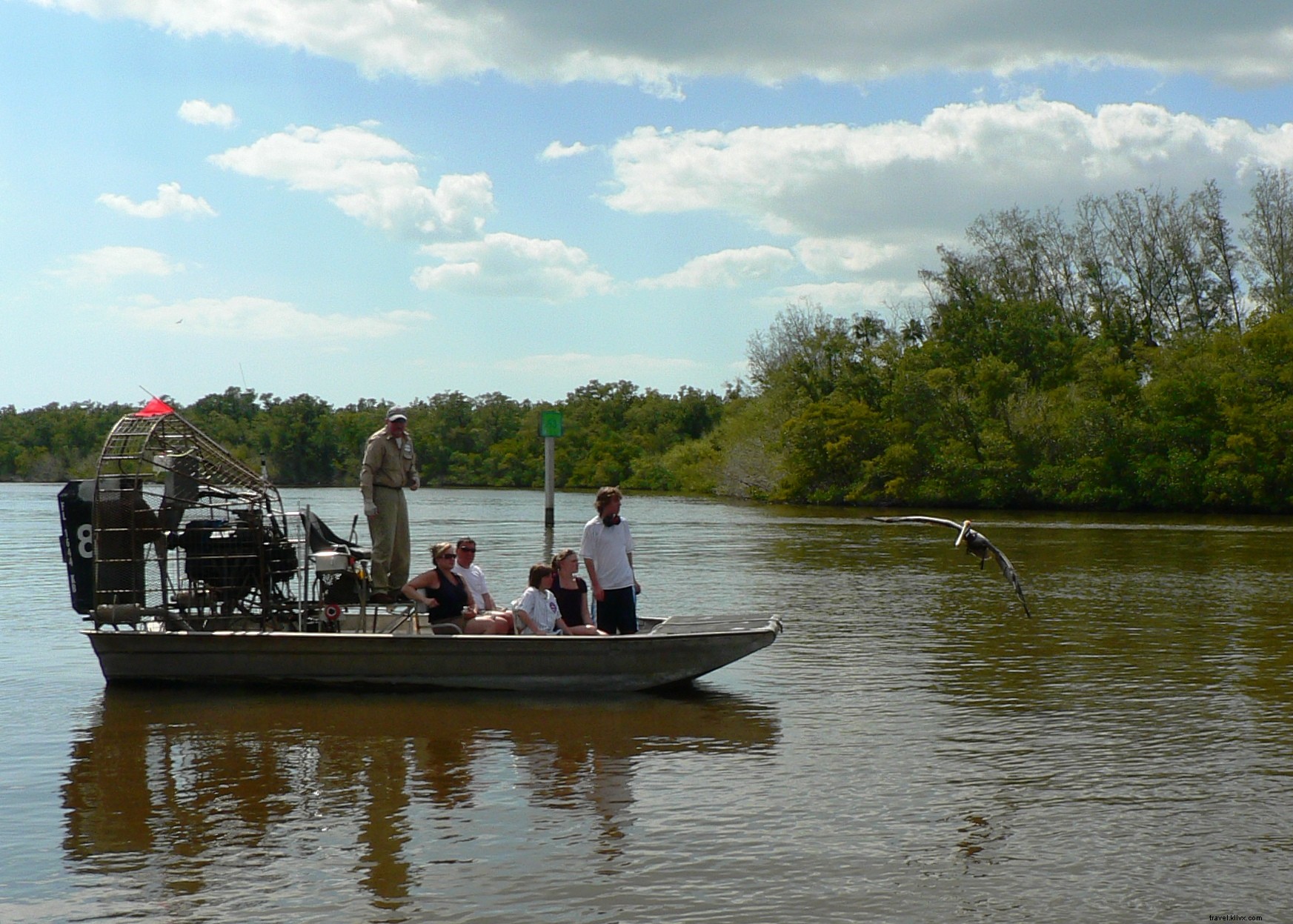 Discover Florida s Top 3 Epic Road Trips: Beaches, Nature, and the Keys