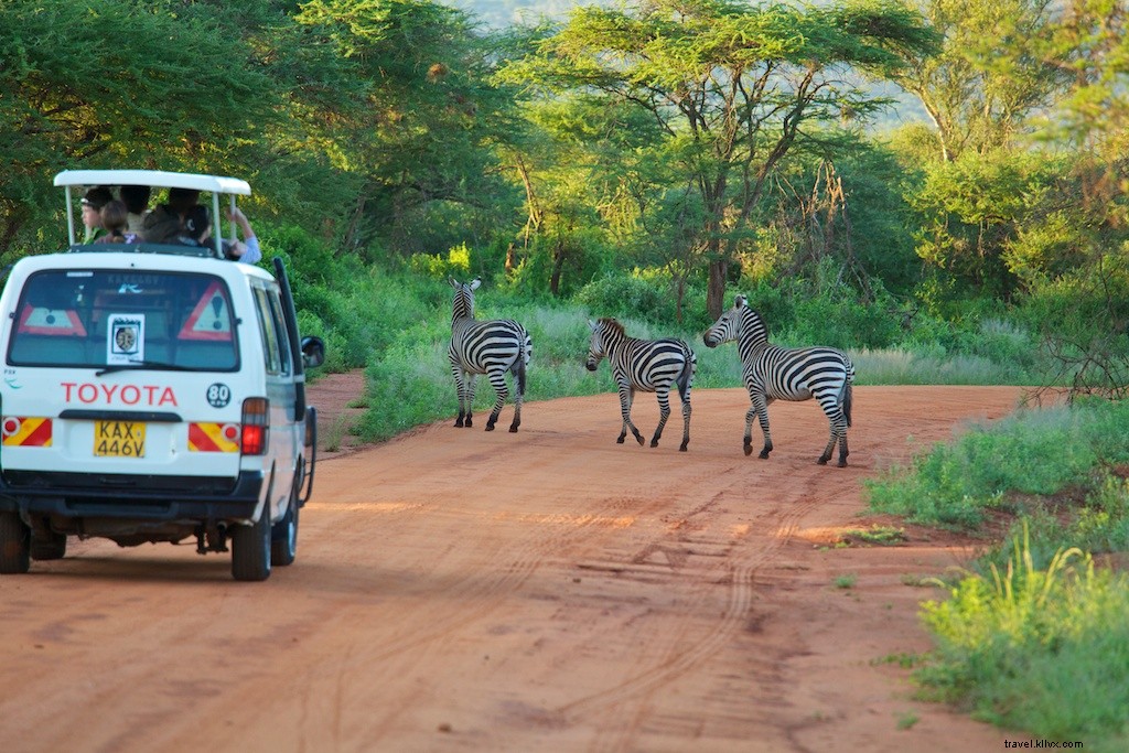 Top 5 Must-See Experiences in Kenya: From Epic Safaris to Pristine Beaches