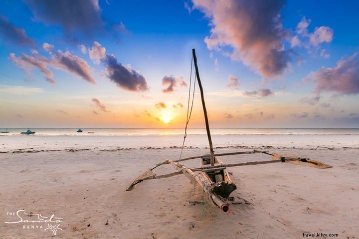 Top 5 Must-See Experiences in Kenya: From Epic Safaris to Pristine Beaches