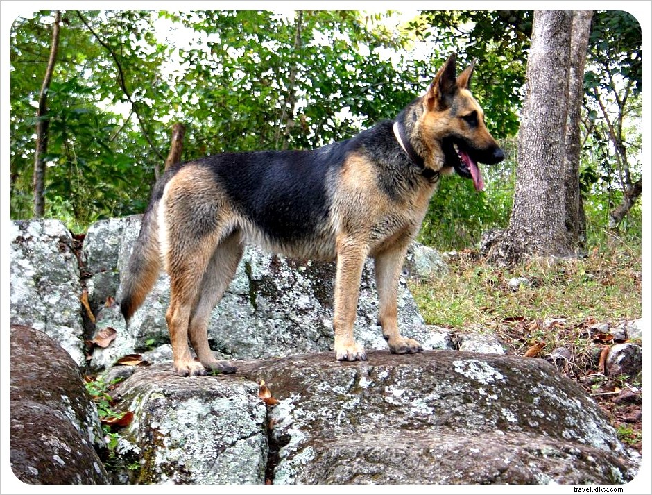 Best Hiking Trails in Los Angeles: Top Picks for Every Skill Level