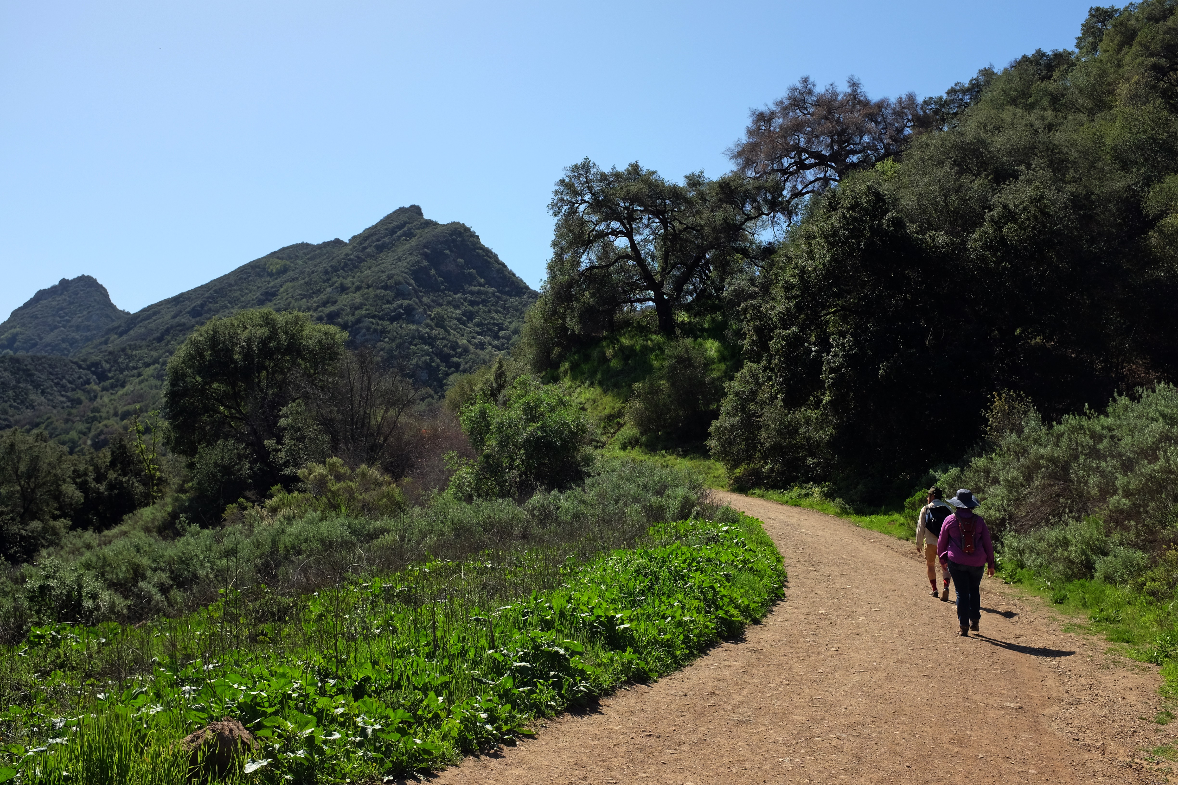 Best Hiking Trails in Los Angeles: Top Picks for Every Skill Level