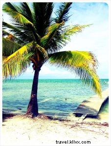 5 Compelling Reasons to Visit Belize: Caribbean Paradise Awaits