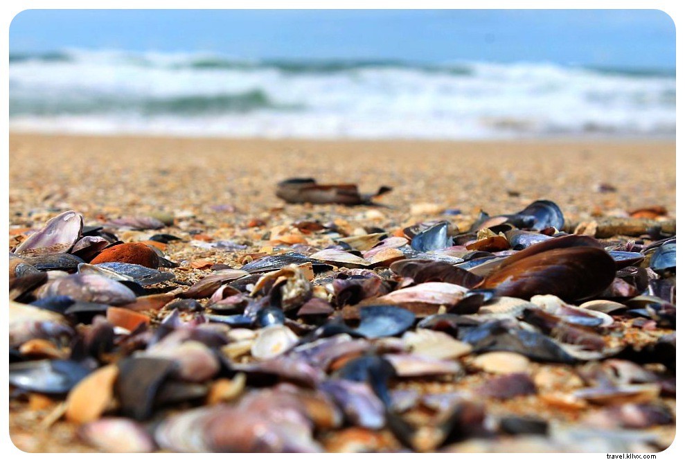 Our 2013 Nomadic Journey: Epic Travels Across South America, the US, and Europe in Stunning Photos