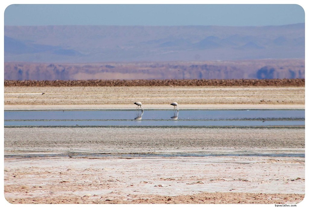 Our 2013 Nomadic Journey: Epic Travels Across South America, the US, and Europe in Stunning Photos