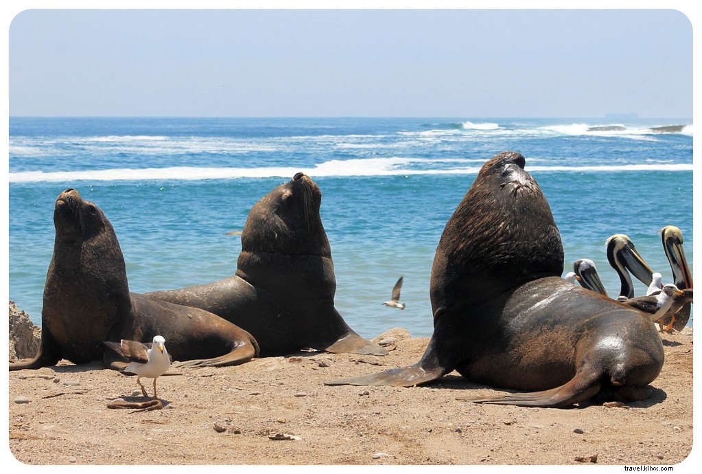 Our 2013 Nomadic Journey: Epic Travels Across South America, the US, and Europe in Stunning Photos
