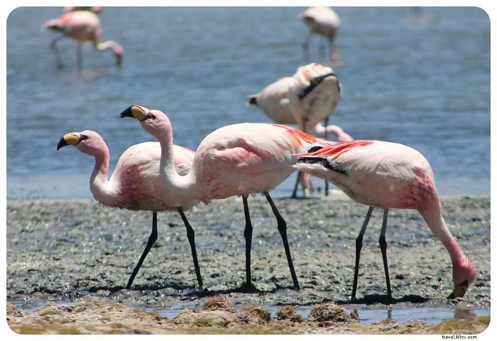 Our 2013 Nomadic Journey: Epic Travels Across South America, the US, and Europe in Stunning Photos