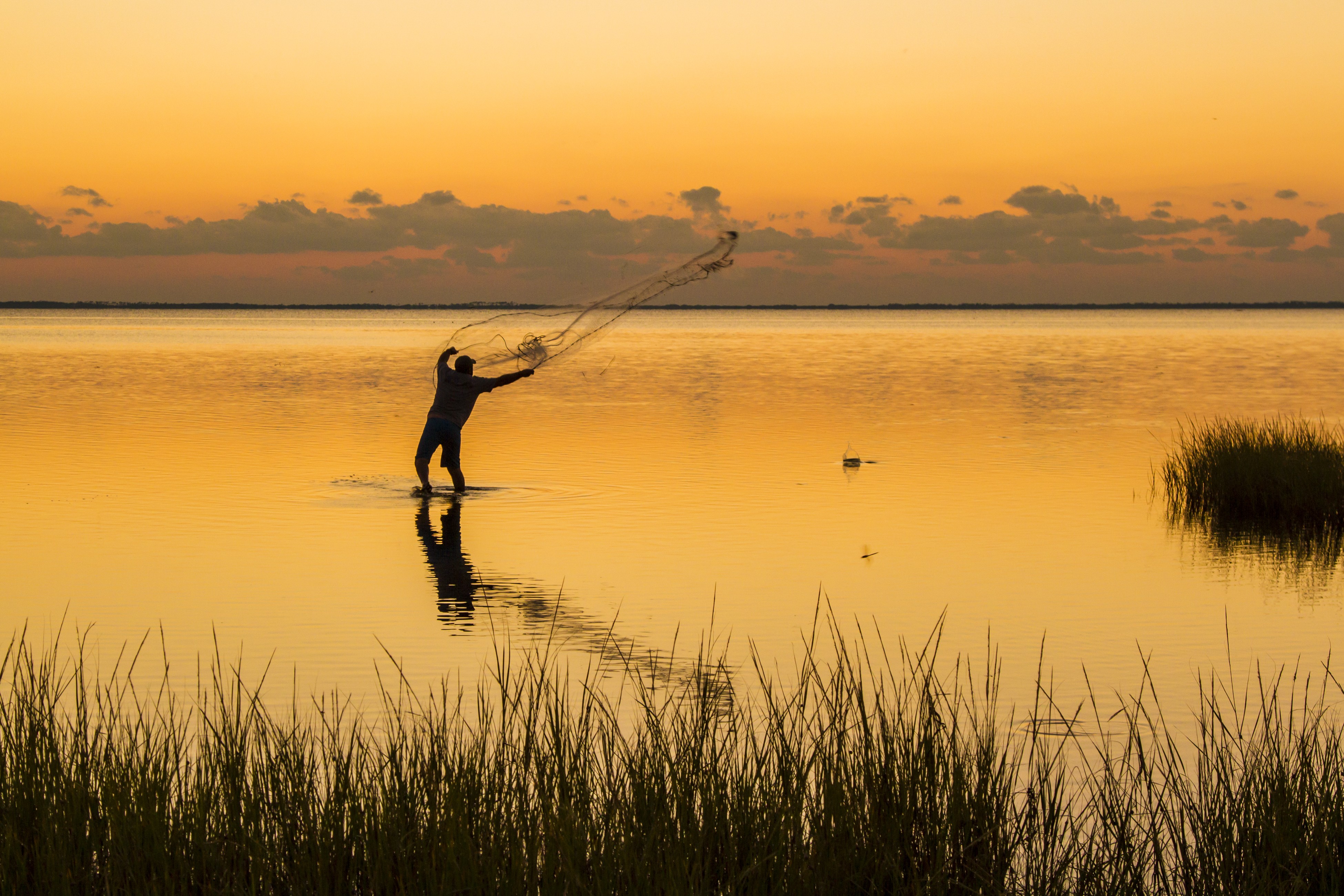 Gulf County, Florida: Premier Destination for Adventure Seekers and Water Sports Enthusiasts
