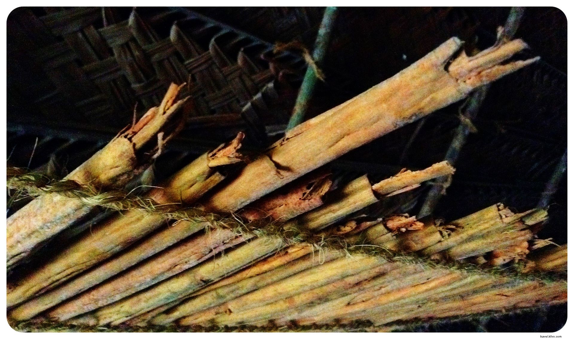 Discover Sri Lanka: First Impressions and Fascinating Facts from the Pearl of the Indian Ocean