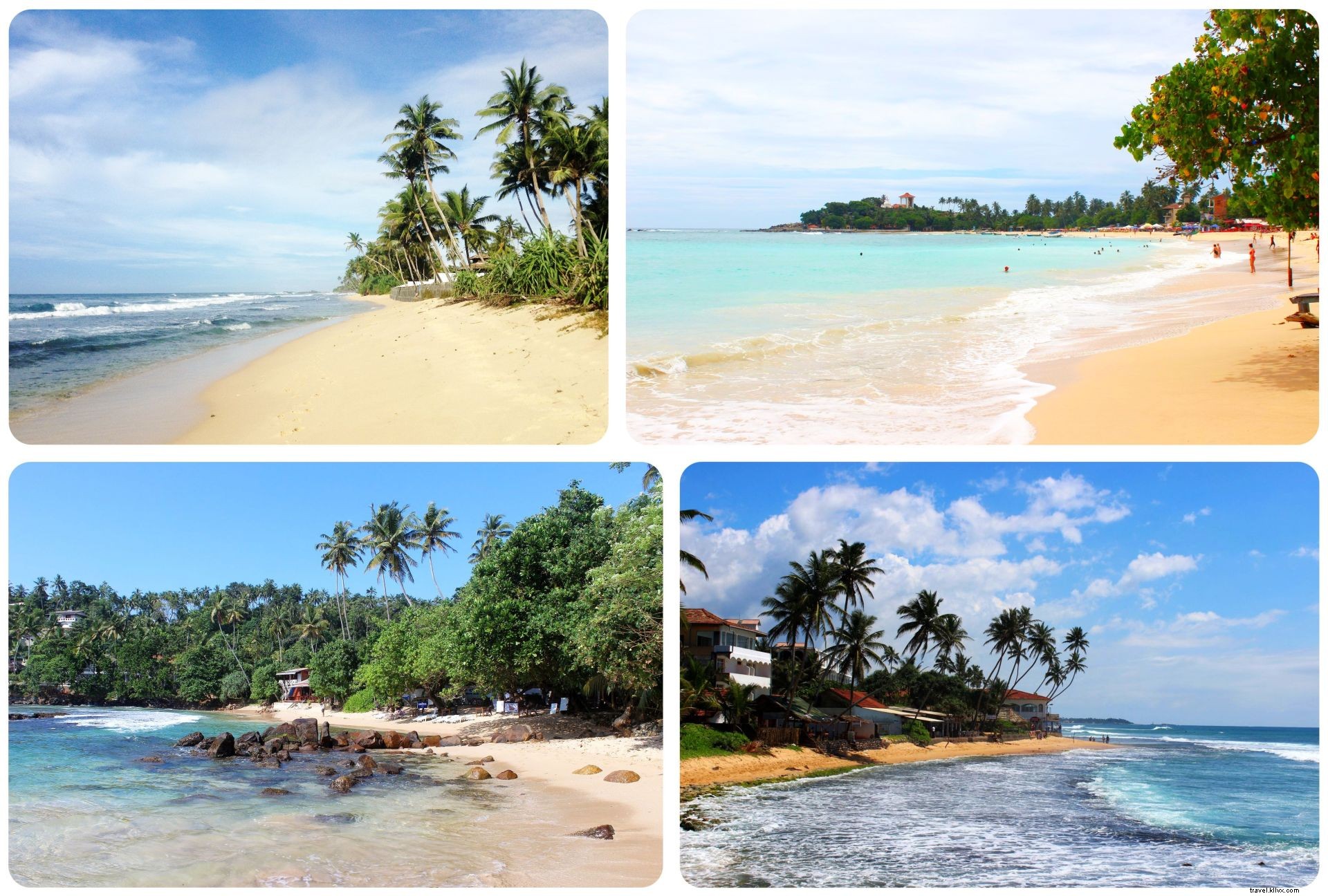 Discover Sri Lanka: First Impressions and Fascinating Facts from the Pearl of the Indian Ocean