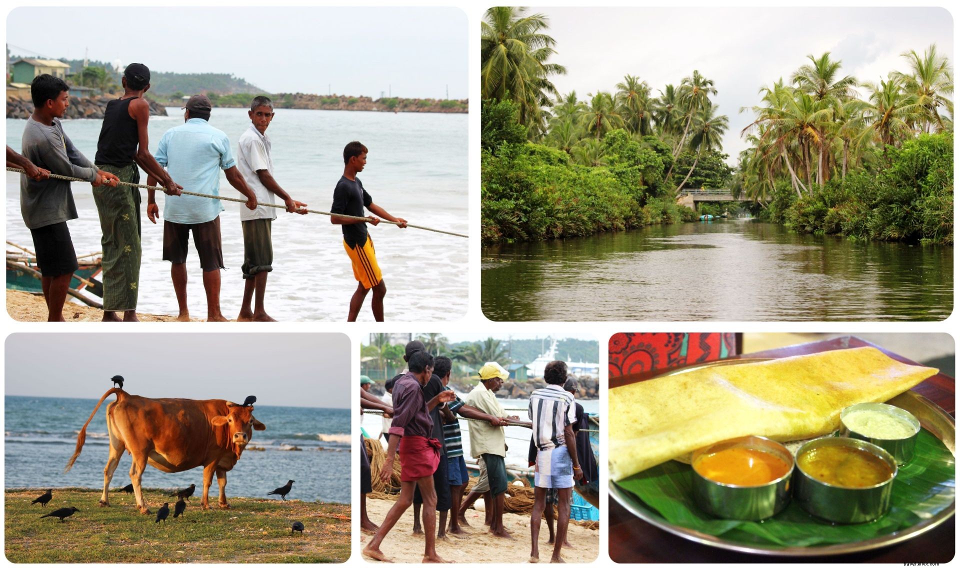 Discover Sri Lanka: First Impressions and Fascinating Facts from the Pearl of the Indian Ocean