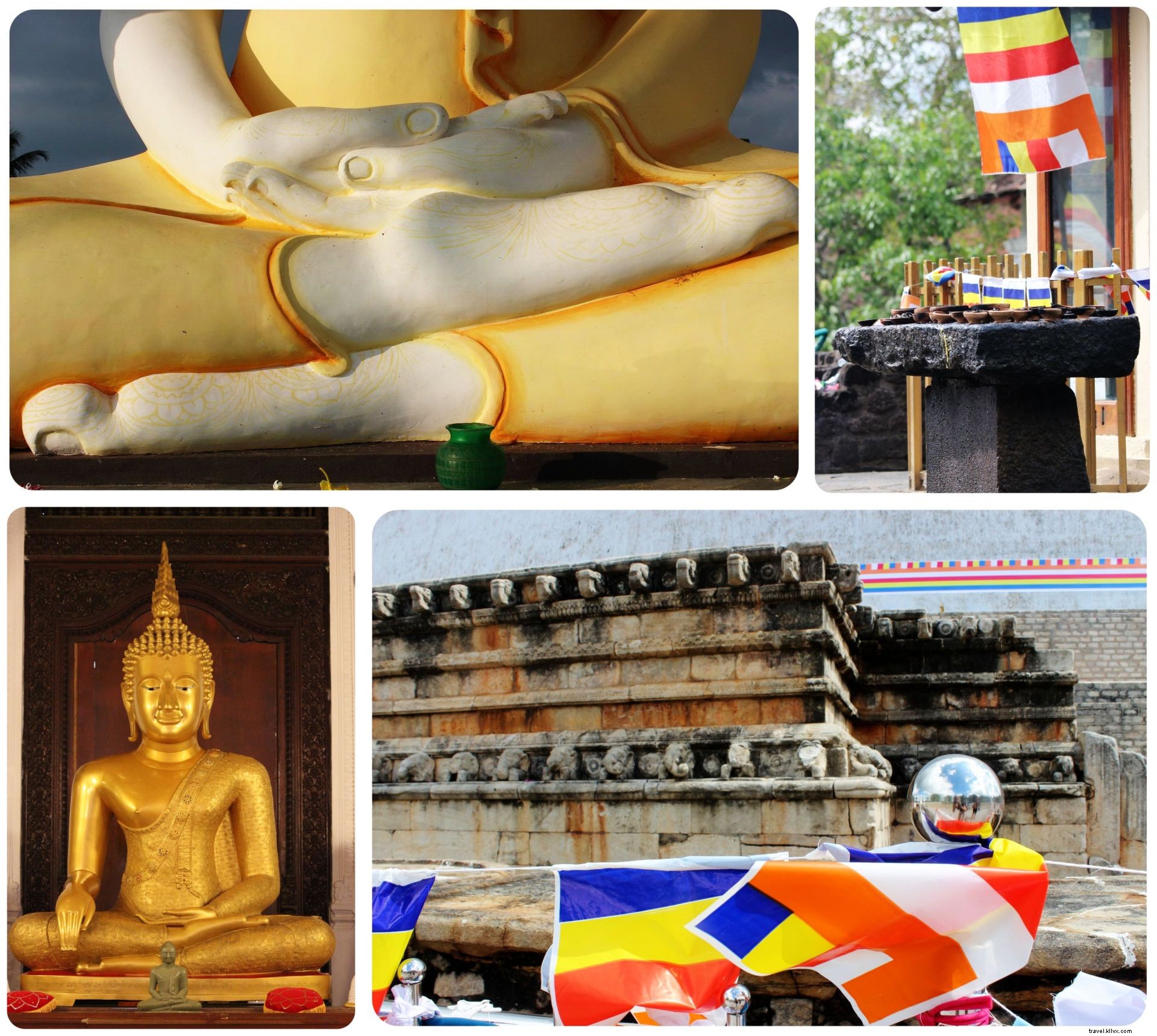 Discover Sri Lanka: First Impressions and Fascinating Facts from the Pearl of the Indian Ocean