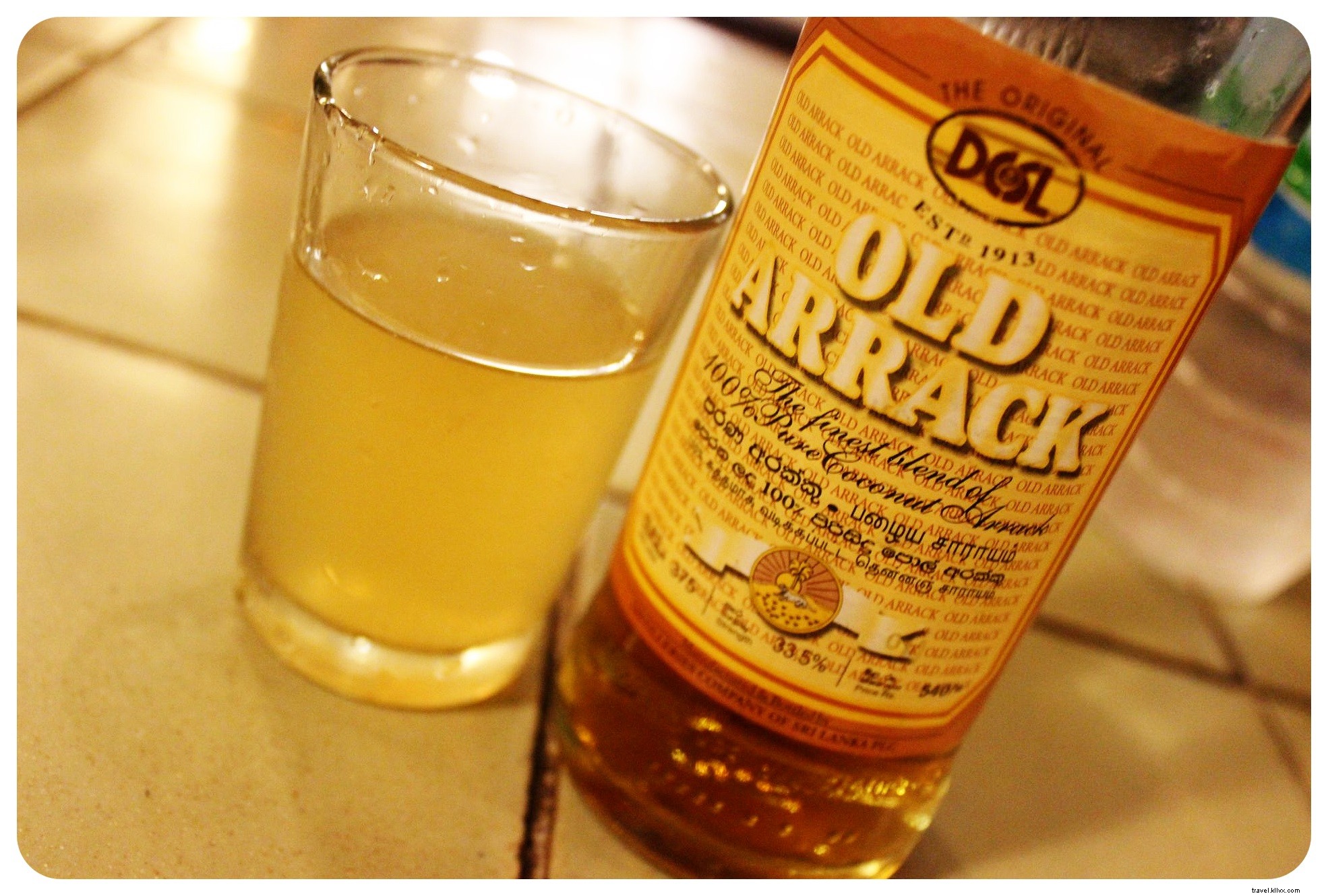 Discover Sri Lanka: First Impressions and Fascinating Facts from the Pearl of the Indian Ocean