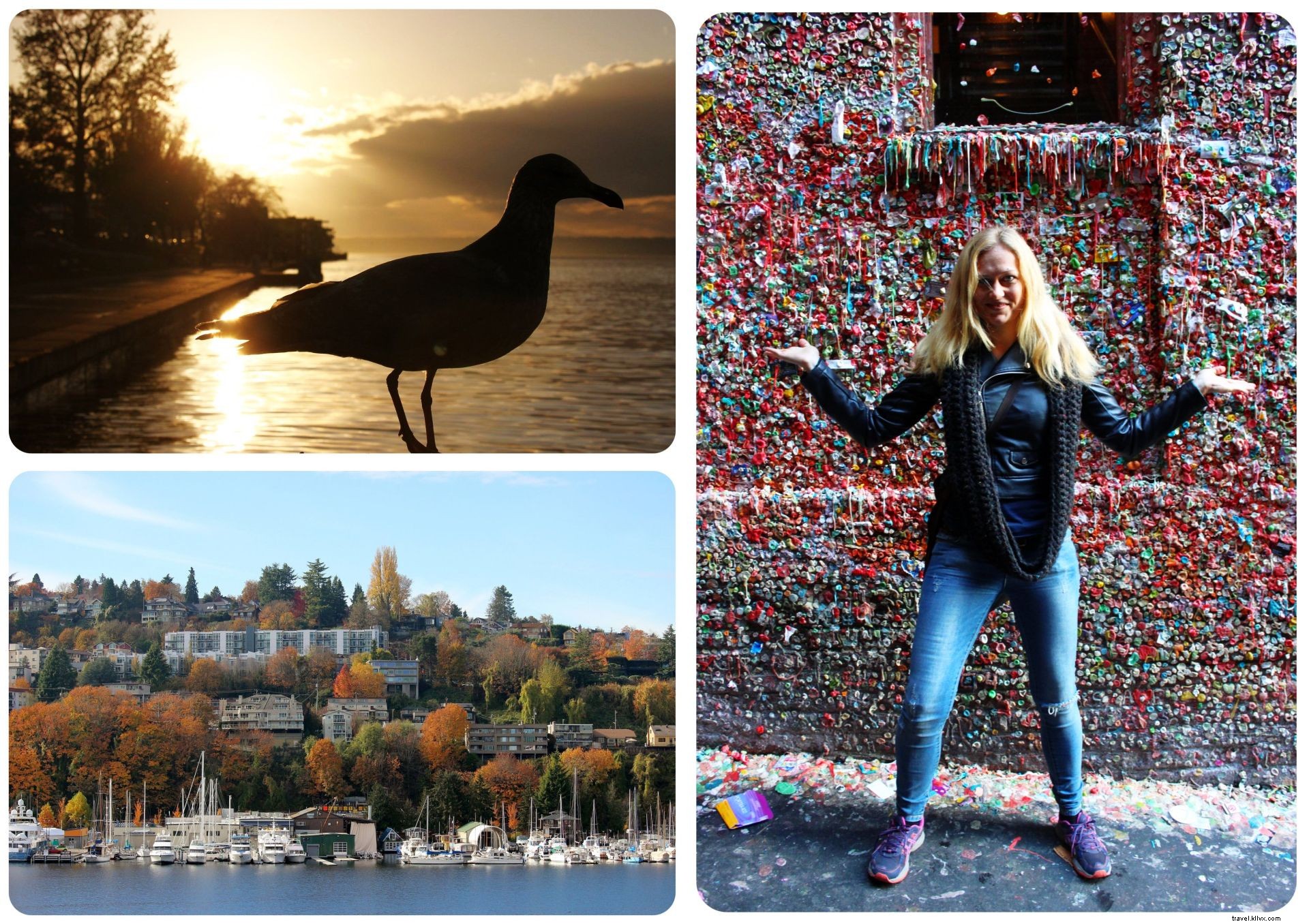Seattle Deep Dive: October 2016 Travel Roundup – Highlights, Challenges, and What s Next