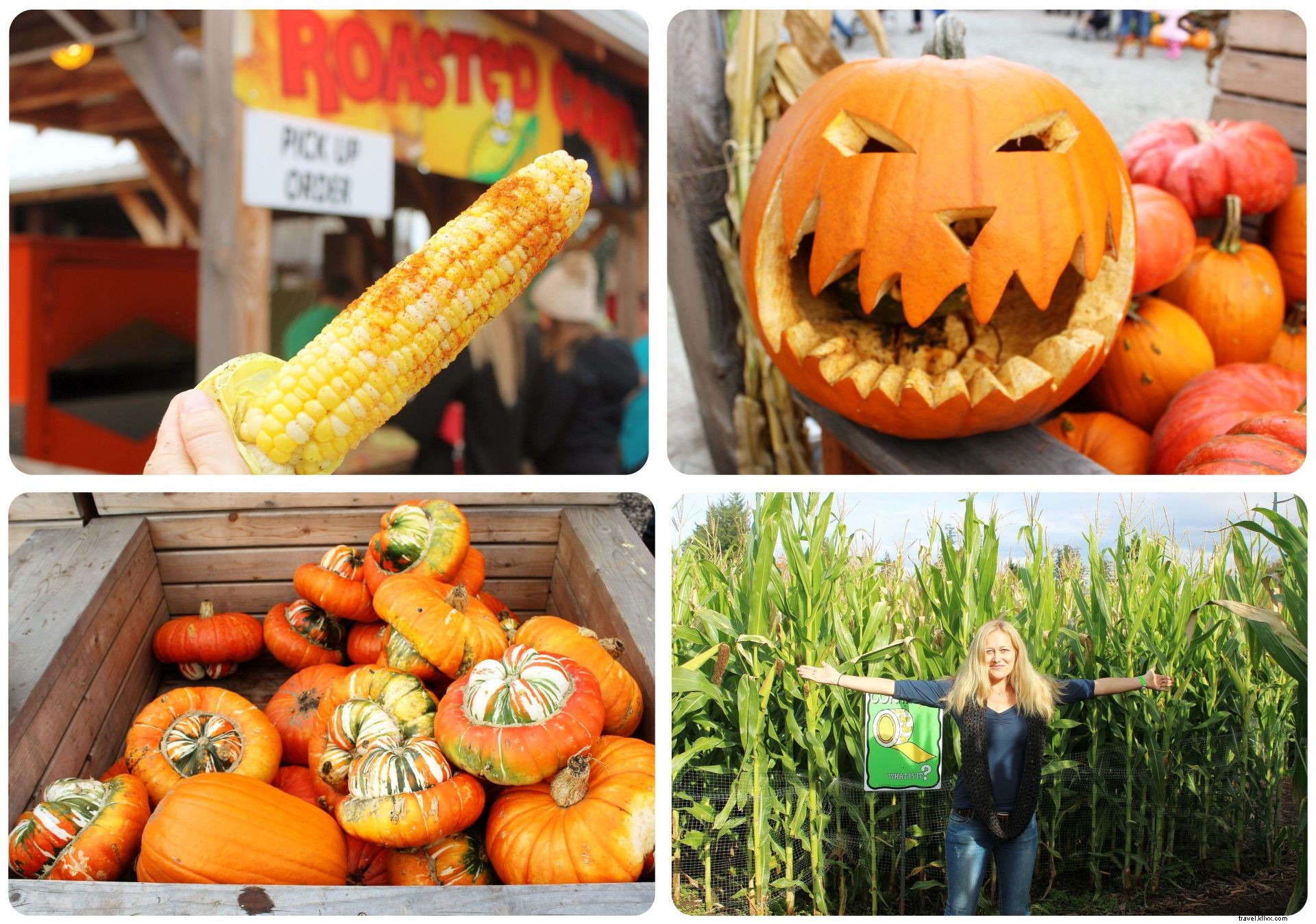 Seattle Deep Dive: October 2016 Travel Roundup – Highlights, Challenges, and What s Next