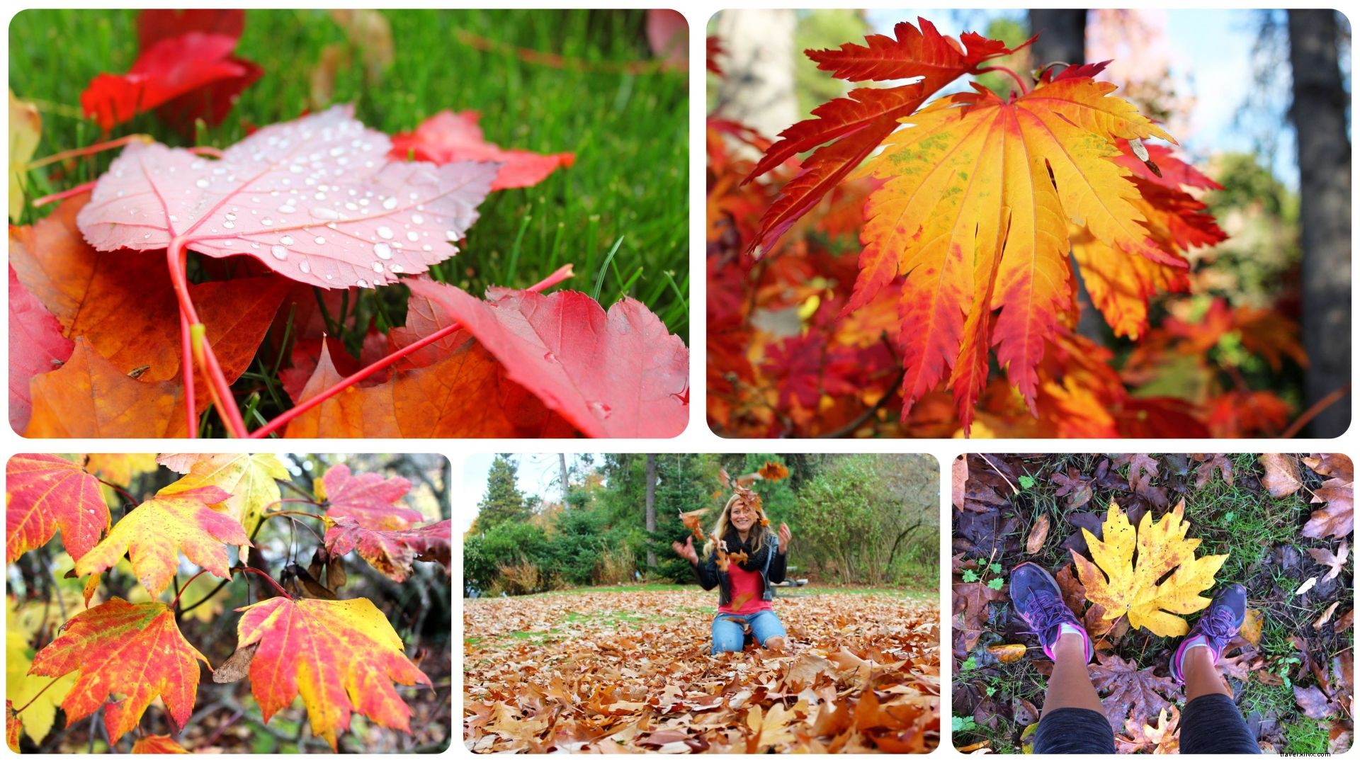 Seattle Deep Dive: October 2016 Travel Roundup – Highlights, Challenges, and What s Next