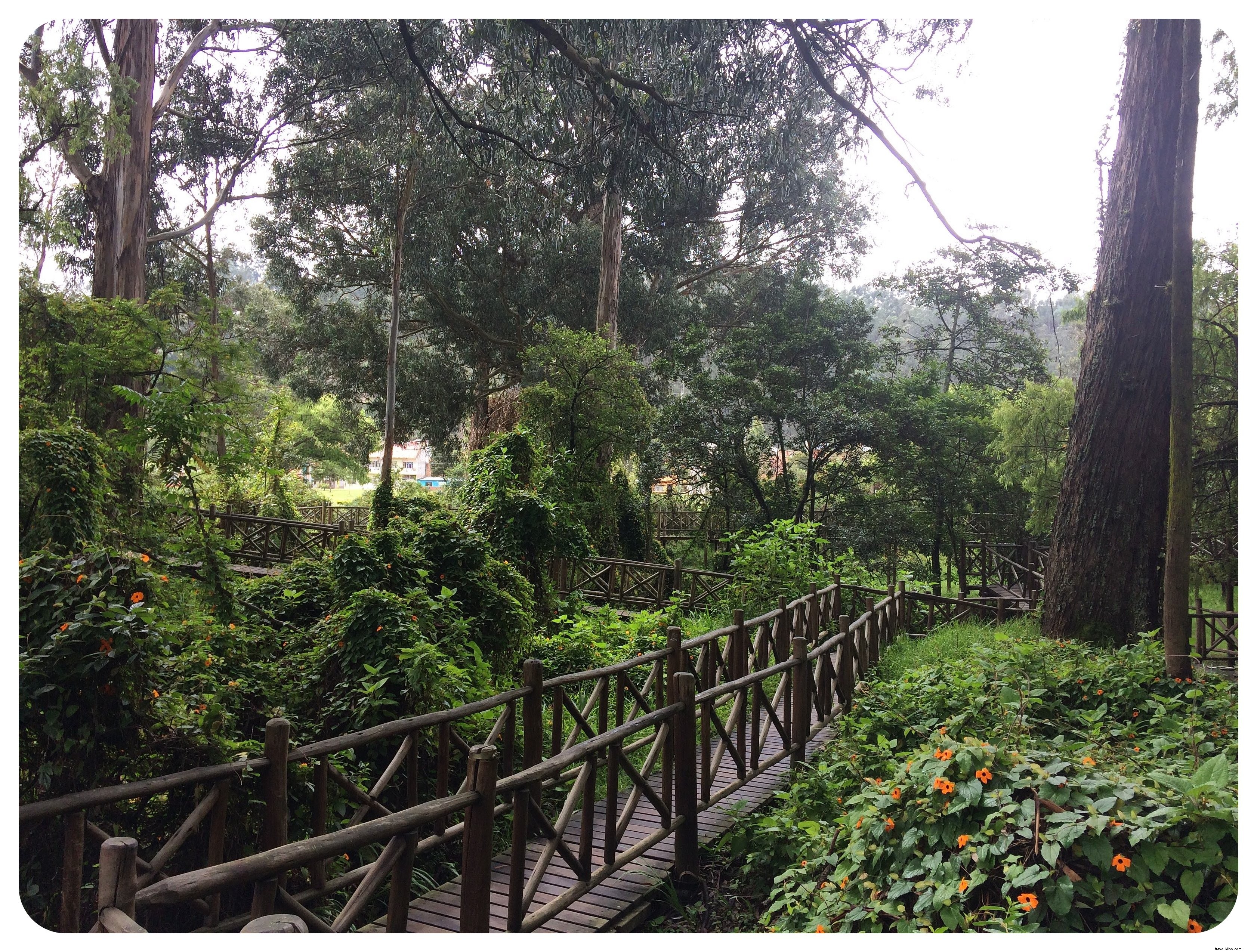 Why Cuenca Stood Out as My Favorite City in Ecuador: Architecture, Culture, and Insider Tips