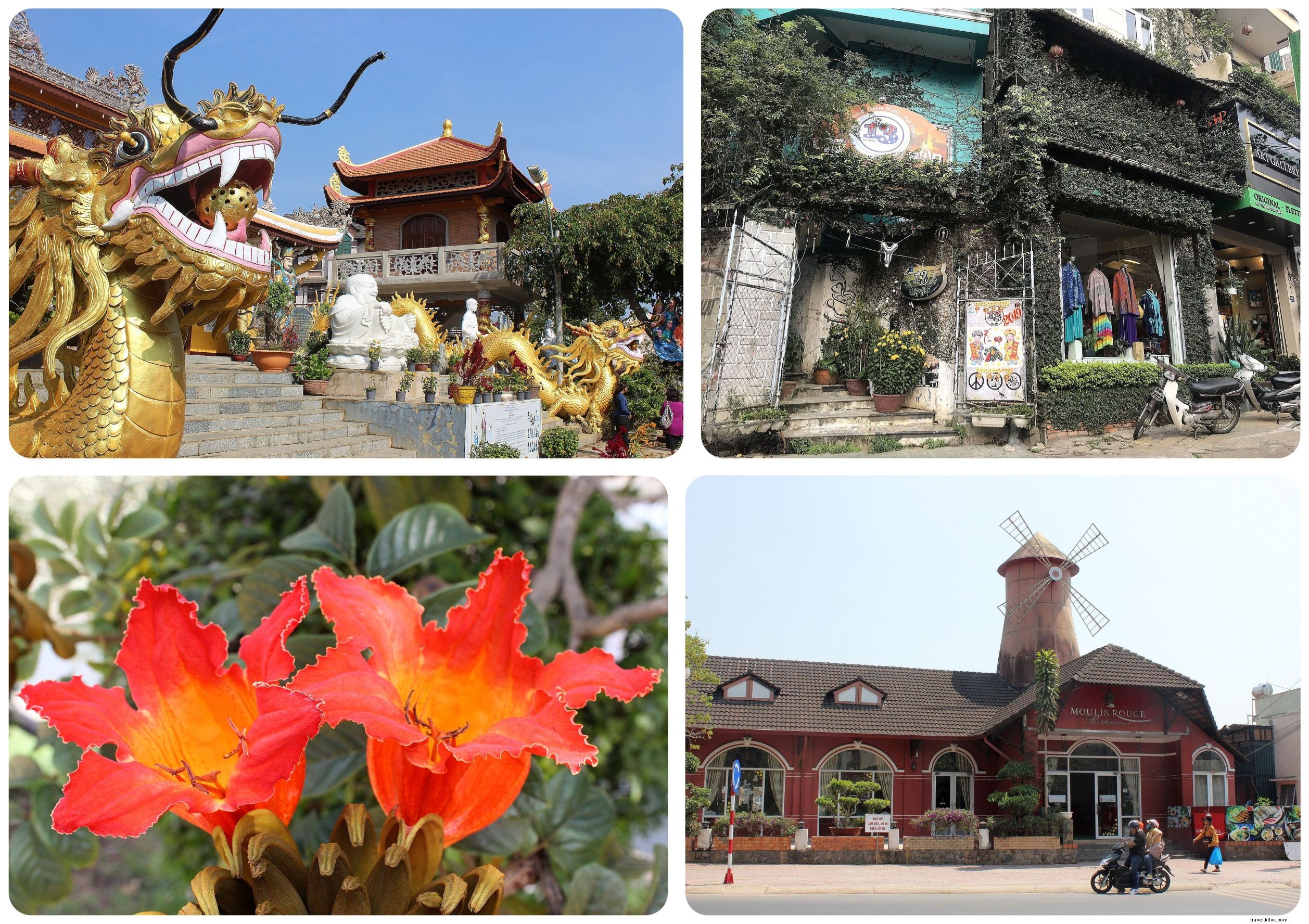 Ultimate Da Lat Guide: Top Things to See, Do, and Eat from an Experienced Traveler