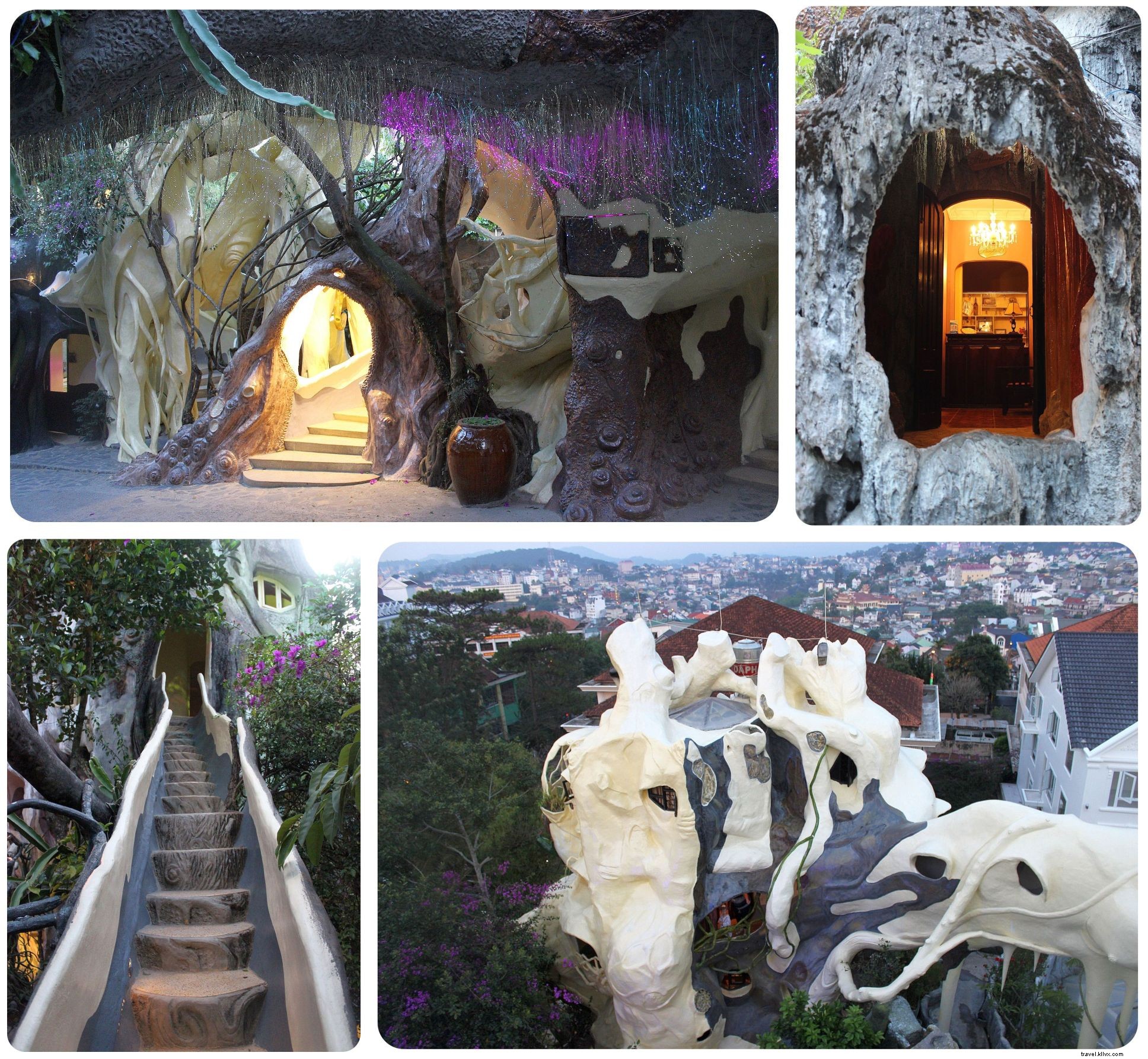 Ultimate Da Lat Guide: Top Things to See, Do, and Eat from an Experienced Traveler