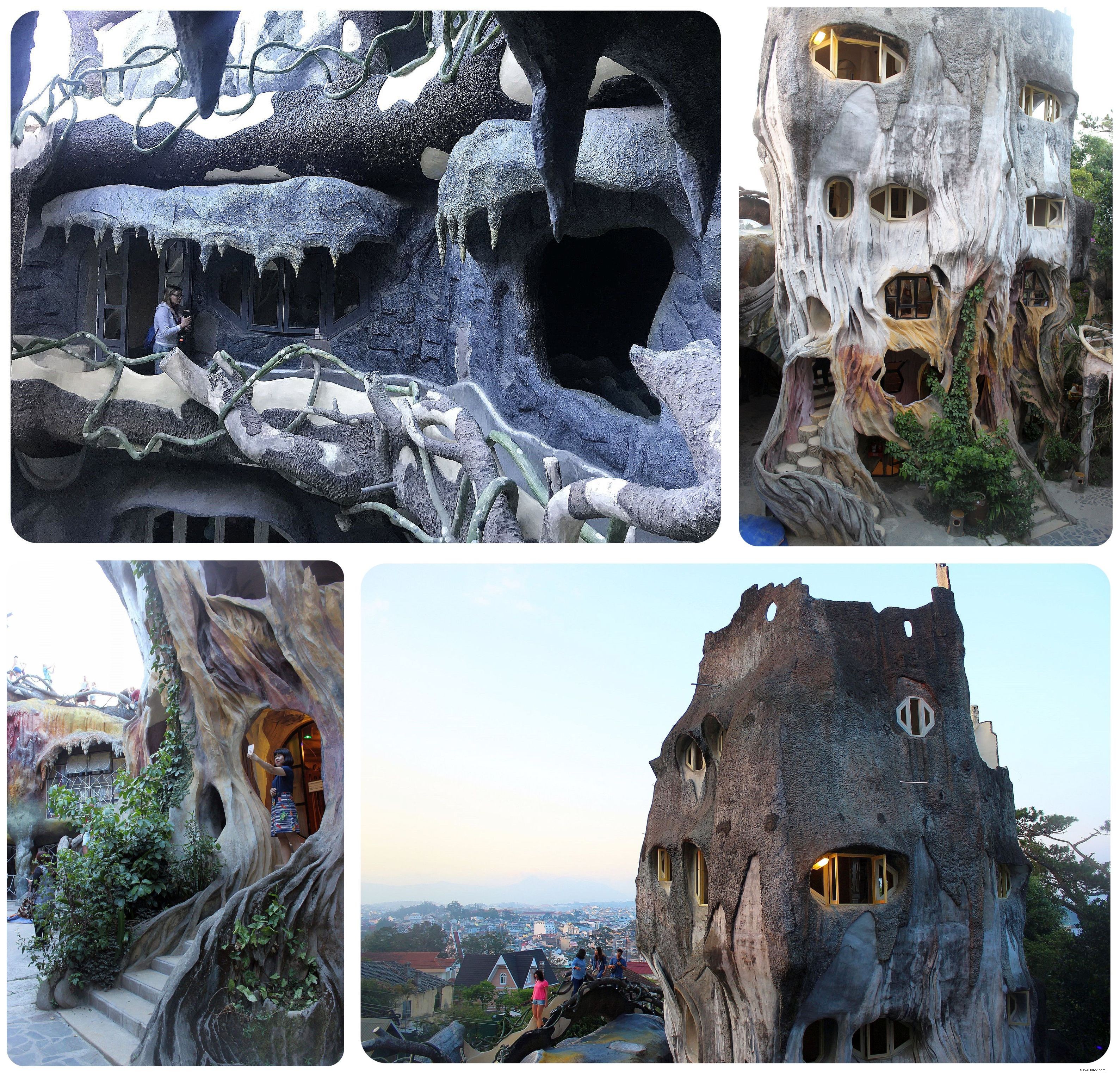 Ultimate Da Lat Guide: Top Things to See, Do, and Eat from an Experienced Traveler